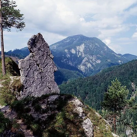 Old Town Loft - A Charming 3 Bedroom Oasis Apartamento Steyr