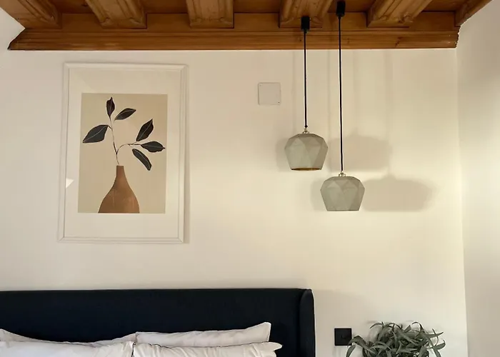 Old Town Loft - A Charming 3 Bedroom Oasis * Steyr