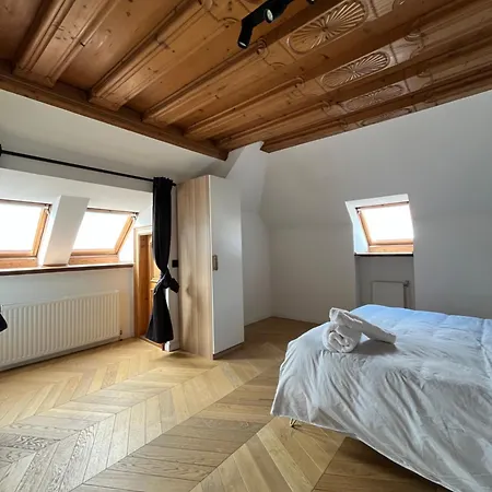 公寓 Old Town Loft - A Charming 3 Bedroom Oasis 施泰尔
